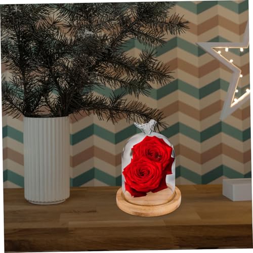 Happyyami Flower Glass Cover Display Cloche Dome Party Dried Flower Vase Plant Decor Bird House Decor Showcase Display Dome Cloche Tabletop Display Dry Flower Botanical Cute Room Wooden