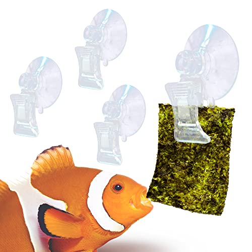 4 Pack Fishes Veggie Kelp Plant Suction Cup Clips for Aquariums, 2” x 1”, Feeding Tool, Aquarium Accessory for Fish Tank, Round Feed Holder Clamp, Automatic Fish Feeder, Includes Plastic Spring