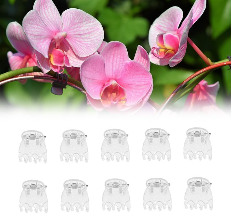 50Pcs Plant Orchid Clips Flowers Support Clear Fixer for Garden Vine Stem Plants Climbing Clasp Transparent 6 Claws Orchid Clips Plastic Butterfly Plant Support Structures
