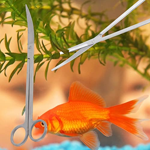 Gavigain Stainless Steel Aquarium Scissors, Curved and Straight Designs, Ergonomic Handle, Sharp Blades, for Aquascaping Hobbyists and Professionals (Bend 25cm)