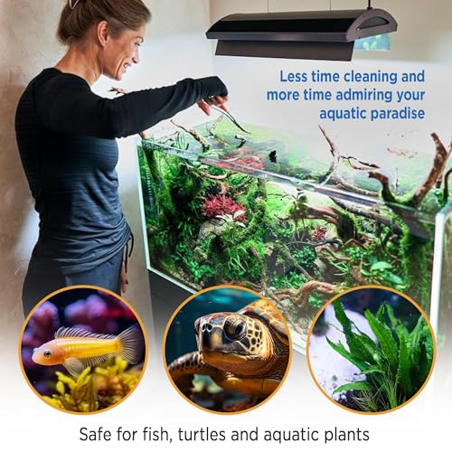 Fish Tank Rocks for Enhancing Water Clarity with Your Regular Cleaning Routine, Fish Friendly Aquarium Rocks, All Natural Aquarium Decor, Small, Up to 750 Gallons