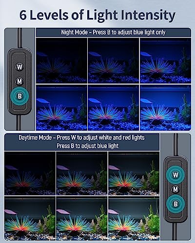 Pawfly 14W Aquarium LED Light for 18 to 24 Inch Fish Tanks Extendable Fish Tank Light with Full Spectrum Brilliant White Blue Red Lights with Daytime & Night Modes and Adjustable Brightness - color: Basic, size: 18"-24"