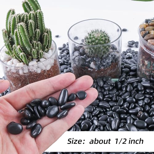18lb 1/4" Small Pebbles Black for Plants,Potting,Succulents Aquarium Fish Tank Vases Decorative Garden Polished Gravel Rocks Stones - color: Black, size: 18lb