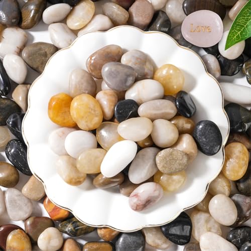 SIDONG 5 LB Mixed River Rocks, 0.3-0.5 Inches High Polished Pebbles for Indoor Plants, Aquarium Rocks Used in Fish Tank, Decorative Stones for Plants, Vases, Home Décor, Crafting, Garden Landscaping - color: Mixed, size: 5 Pounds