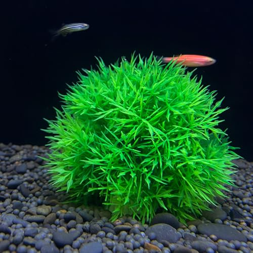 2Pcs Fish Tank Decorations 4.52In Aquarium Fake Plants Lifelike Simulated Water Grass Balls Underwater Crafts for Home Office Aquarium - size: 11.5x11.5cm