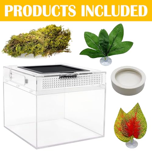 Reptile Terrarium, Jumping Spider Enclosure Starter Kit, Leopard Gecko Habitat Container, 8"x8"x7"Reptile Tank for Tarantula, Hermit Crab, Insect, Fish, Frog, Small Bearded Dragon, Lizard - size: 8"x8"x7"