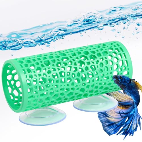 Abizoo Betta Fish Tunnel Hideout for Aquarium Decoration Hollow Coral Design Smooth Finish, Fish Tank Accessories Habitat Cave for Betta Shrimp Guppies Neon Tetras Zebra Danios Small Fishes,Mint Green - color: Mint Green