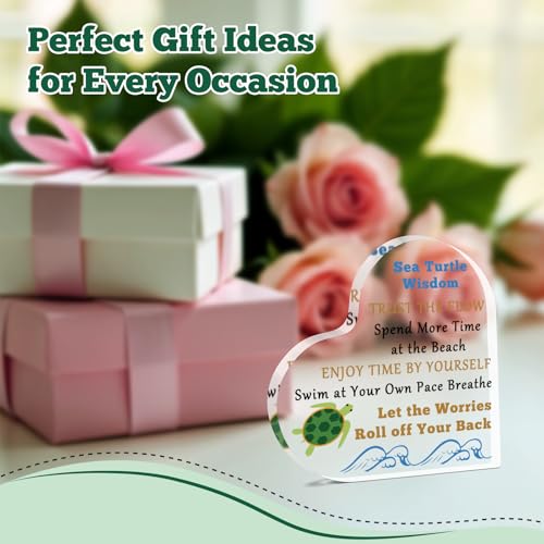 Gifts for Sea Turtle Lovers Women Men Inspirational Desk Sign Turtle Gifts for Turtle Lovers Motivational Acrylic Plaque for Coworker Friends Family Daughter Son Christmas Graduation Desk Decor Signs