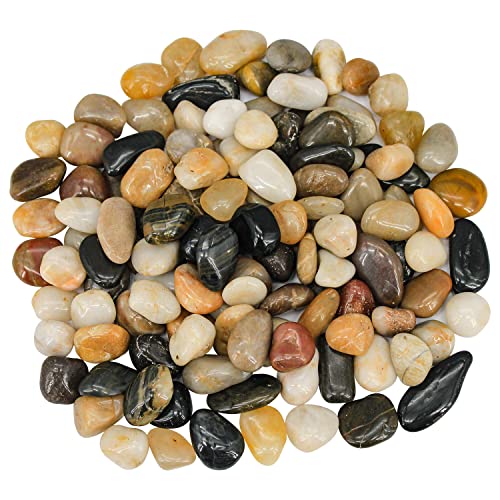 Succulent Rocks,Virekm River Rocks, Decorative Ornamental Pebbles Garden Landscaping Stones Gravel Filler for Home Decoration Flower Bed Fish Tank Plants Vases Succulents - color: mixed color, size: 2 Pounds
