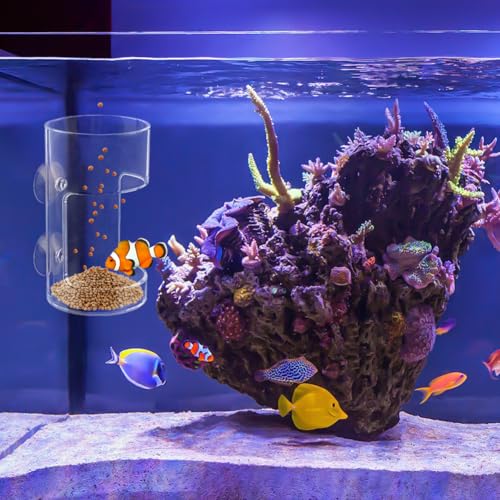 2pcs Fish Tank Feeding Tray with Suction Cup Acrylic Feeding Tube Fish Food Holder Automatic Fishing Feeder Aquarium Tank Divider Supplies Breeder Box for Aquarium (Color:Clear)