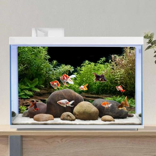 AWERT Aquarium Background River Bed & Lake Aquatic Plant Fish Tank Background Vinyl 36x24 inches - size: 36x24in/90x60cm