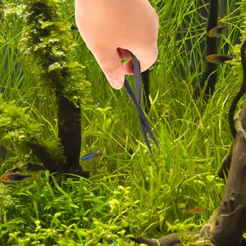 POPETPOP 6.1 Inch Curved Aquarium Scissors Water Grass Shears Spring-Loaded Precision Pinch Action for Aquascaping and Small Plant Trimming