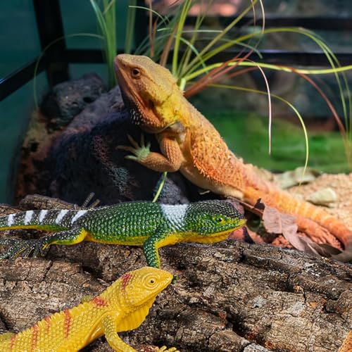 BESPORTBLE 4Pcs Reptile Cork Bark Aquarium Decor Background for Fish Tank and Terrarium Natural Climbing Board for Gecko Lizard Frog Bearded Dragon Safe and Realistic 5.90X5.90X0.78In