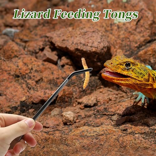 Reptile Feeding Tongs, Stainless Steel Lizard Feeding Tongs, Aquarium Curved Feeding Tweezers for Reptiles with Rubber Tip, Terrarium Feeding Tongs 10.63" L, Black Silver Tone - color: Black, size: 10.63"