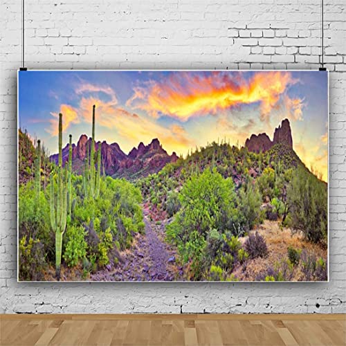 10x5ft Western Desert Backdrop Arizona National Park Rock Mountain Green Plants Saguaro Cactus Landscape Terrarium Background Reptile Habitat Tank Decor Cowboy Pet Portrait Photo Shoot Props - size: 10x5ft