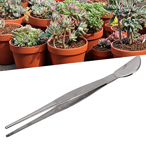 TOPINCN Bonsai Tweezers, Stainless Steel Long Plant Tweezers with Moon Spatula Head, Home Garden Potted Loosening Soil Plan Grass (Straight)