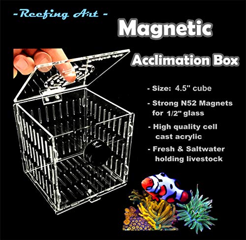 Small Magnetic Acclimation Breeder Box Anemone Coral Strong N52 Magnets for 1/2" Glass (4.5" Cube) - size: 4.5" Cube