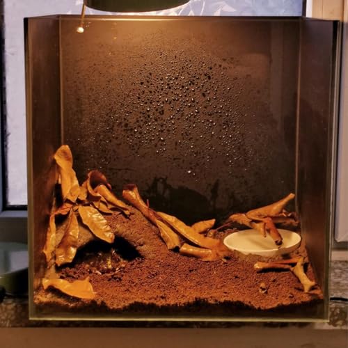 Reptile Soil Substrate Fluffy Small-Strand Reptile Substrate and Snake Bedding Clean Natural Terrarium Bedding for Lizards Snakes Tortoises Tarantulas - color: 1.32gal