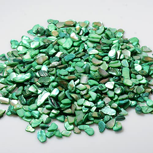 QICQDRAM Crushed Shells for Crafts About 2LB (900g/31.74oz) Small Natural Crushed Shells Bulk for Crafts DIY Beaching Wedding Decoration Vase Fillers - color: Green, size: 2LB (900g/31.74oz)