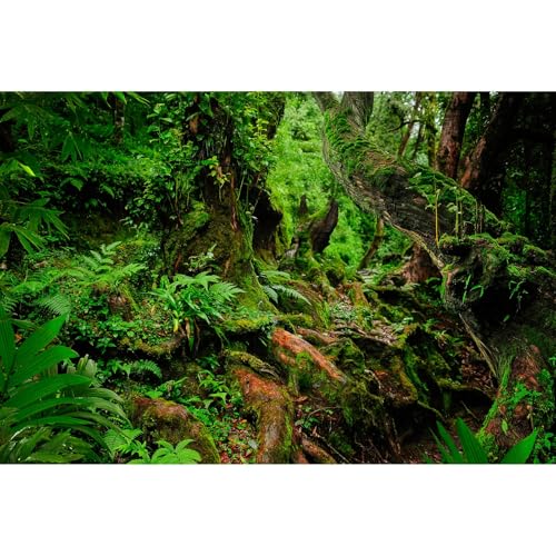 Rainforest Reptile Tank Background Tropical Jungle Forest Fish Tank Background Giant Tree Roots Lush Ferns Moss Reptile Tank Backgrounds Jungle Trees Nature Reptile Enclosure Backgrounds 24x12in - color: Pure Green, size: 24(W)x12(H)inches/ 60(W)*30cm(H)