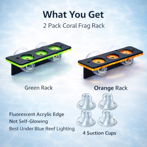 kcrygogo Coral Frag Holder Acrylic Coral Rack with Powerful Double Suction Cup and Placstic Screws Suitable for Household Fish Tanks (2pcs 3 Plug Hole,Fluorescent Green and Orange)
