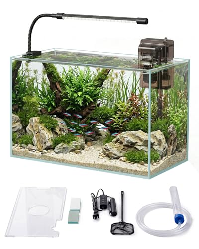 Glass Fish Tank Kit, 5 Gallon Betta Fish Tank Aquarium Starter Kit with Filter, Lights, Lid, for Betta, Goldfish, Small Fish or shrimg，Clear - color: Transparent, size: 5 Gallon