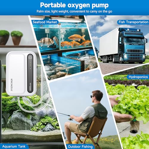 Aquarium Air Pump Rechargeable Aerator for Bait Bucket, Portable Battery Powered Air Pump for Aquarium, Fish Tank Air Pump Bubbler Aerator for Outdoor Fishing - style: 2 outlet 4800mAh