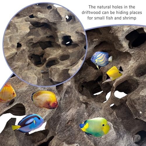 Hamiledyi Natural Driftwood for Aquarium Decor 12 PCS Fish Tank Wood with Small Holey Aquarium Wood Aquascaping for Shrimp Betta Hermit Crab and Butterfly Fish - size: XS:3-6 inches-12pcs