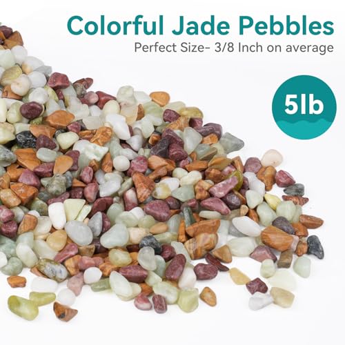 5lbs Pebbles for Indoor Plants, 3/8 Inch Small Rocks for Potted Plants, Succulents, Vase Fillers, Cactus Planters, Bird Bath, Fountain, Outdoor Garden Landscaping - color: Colorful