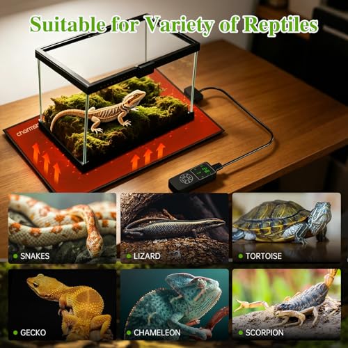 8 by 12-inch 16W Reptile Heating Pad Graphene with Temperature Control Reptile Tank Heat Pad Terrarium Under Tank Heater Mat for Snake Lizard Hermit Crab Reptiles Turtle Thermostat - size: 8"x12" 16W