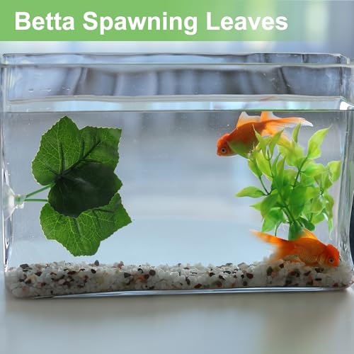 Betta Fish Leaf, Natural Habitat Simulation for Betta Spawnings Grounds, Betta Spawnings Leaves, Resting Bed, Double Maple Leaves, Deep Green