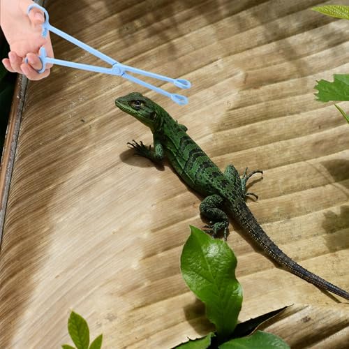 Reptile Tweezers Feeding Tong 24.5cm/9.64inch Long Plastic Clip Blue Tweezer Forcep for Tortoise Lizard Frog Spider Tarantulas