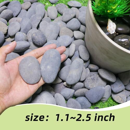 River Rocks Mexican Beach Pebbles (Large, 3LB) - size: 3LB, style: Large