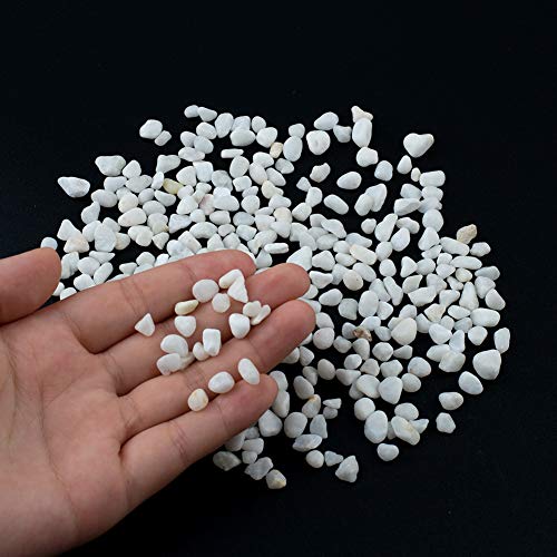 WANDIC 200g Decoration Stone, White Natural Polished Stone Small Decorative Pebbles for Home Decoration Art Craft Vase Filler Fish Tank Houseplant Filler