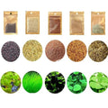5 Aquarium Plants S.e.e.d Set, not Artifical, Fish Tank Decor Replacement for Resin or Plastic Grass