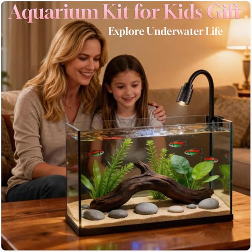 Small Fish Tank Kit,Nano Ultra-Clear Glass Rimless Black Desktop Fish Tank with Light Cleaning Tool & Décors,Small Fish Aquarium for Betta,Shrimp,Small Fish (2Gal Fish Tank Starter Kit)