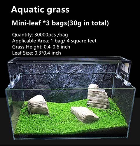 3 Pack Aquarium Plant s-e-e-d. Mini-Leaf 30gram. not Plastic Carpet Decor Decoration not Artificial YZ-AAA04