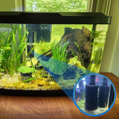 12 Pieces Aquarium Filter Sponge 0.8" Intake Shrimp Filter Coarse Sponge Filter for Aquarium Fish Tank, Protect Fish Fry and Shrimp, Black