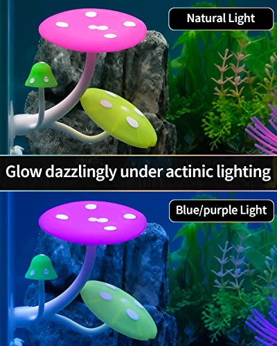 Uniclife Betta Mushroom Hammock Soft Aquarium Rest Bed Fish Breeding Playing Pad with Suction Cup Silicone Ornament Decoration Colorful Lifelike Decor for Fish Tank Landscape, 2 Pack - color: Pink&Blue, size: Mushroom Hammock