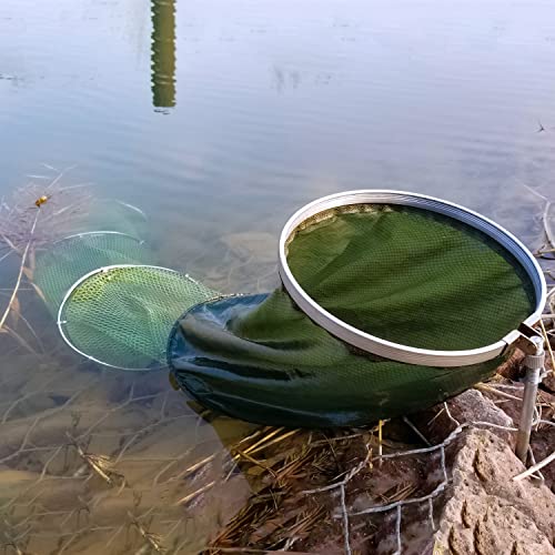 Collapsible Fish Keeping Net - Rubberized Mesh Fishing Basket - Foldable Fish Live Well for Dock & Kayak - Keep Bait and Fish Alive