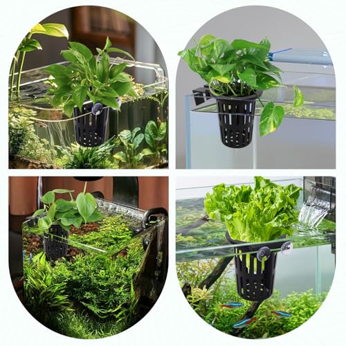 2PCS Upgraded Large Aquarium Plant Holder with 1.57" Extension Hooks and Suction Cups, Aquatic Plant Holder for Fish Tank Aquaponic Plants Cultivation and Aquascape Accessories, Black