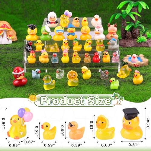 TINKRSTUFF 40PCS Mini Resin Animals Assorted Styles Cute Tiny Ducks,Miniature Duck Figures to Hide,Little Animal Bulk for Topper Desk Garden Dollhouse Landscape Aquarium Ornaments DIY Crafts & Decor - color: Various Ducks-40pcs