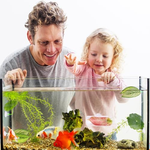 5pcs Betta Hammock Set, Plastic Adjustable Betta Leaf Hammock with Suction Cup & Clear Tube Tunnel Beta Bed Resting Spot Small Fish Toys Aquarium Hideout Beta Fish Tank Decorations Decor Accessories