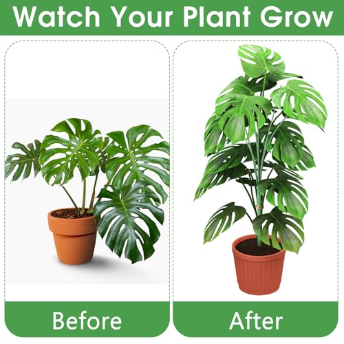 6 Pack 17'' Climbing Plant Support Stakes Moss Pole Monstera Plant Climbers Trellis Plants Stem Supports for Indoor Outdoor Climbing Potted Plants Flower Grow Upwards Green