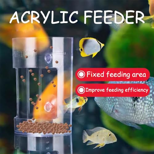 Fish Feeder Oval Back Flat Automatic Feeders Reduced Filter Clogging Tank Suitable for All Kinds of Food Tank Accessories - color: ellipses