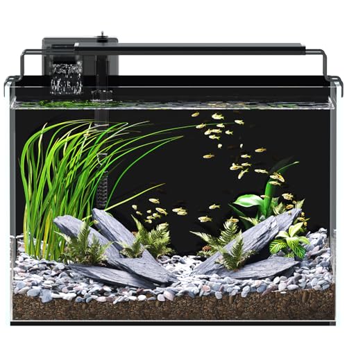 5 Gallon Fish Tank Aquarium Kit with Filter, LED Light with Timer, Siphon Vacuum Cleaner, Lid, Self-Cleaning Glass Rimless Betta Tank - size: 5 Gallon without Heater