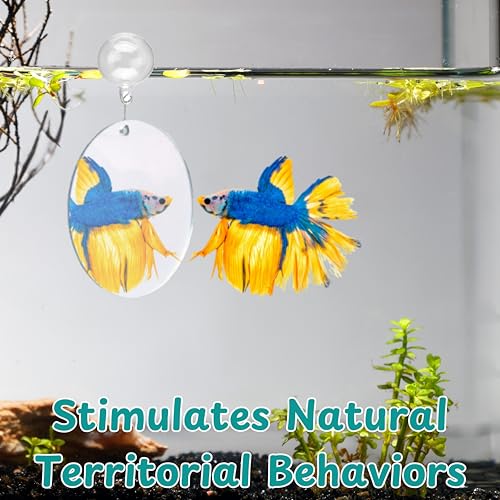 Betta Fish Enrichment Toys Ring and Mirror , Floating Exercise Mirrors And Training Ring, Floating Mirrors Aquarium With Feeding Rings, Fish Toys, Betta Fish Tank Accessories (Blue+Mirror, 6.4cm)