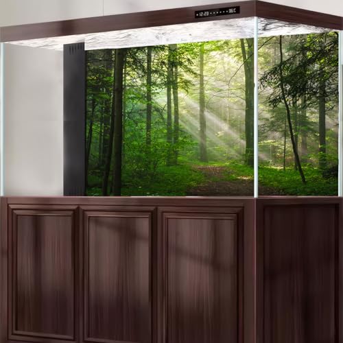 Sunrise Forest Aquarium Background Majestic Misty Morning Green Forests Fish Tank Background Scenic Tranquil Foggy Woodland Terrarium Backgrounds Green Meadow Plants Reptile Tank Backgrounds 24x12in - color: Grey_Green, size: 24(W)x12(H)in