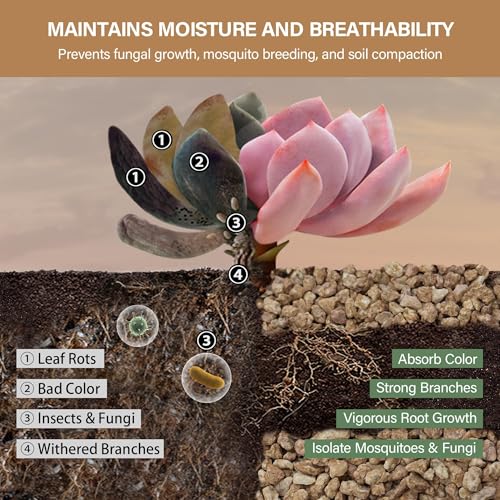 3lb Maifanitum Stones for Succulent, 1/8"-1/4" Golden Pea Gravel for Cactus, Small Pebbles for Indoor Plants Soil Covers, Decorative Rocks for Bonsai, Vases Fillers, Aquarium, Top Dressing - color: Gold, size: 3 Lb