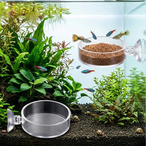 2 Pcs Shrimp Feeding Dish, 65mm Round Aquarium Feeder Dish with Suction Cups Clear Acrylic Fish Tank Feeding Bowls